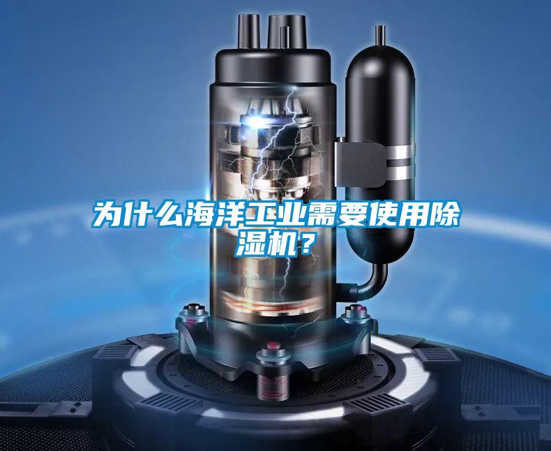 為什么海洋工業(yè)需要使用除濕機(jī)？