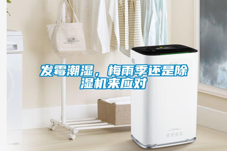 發(fā)霉潮濕，梅雨季還是除濕機(jī)來(lái)應(yīng)對(duì)