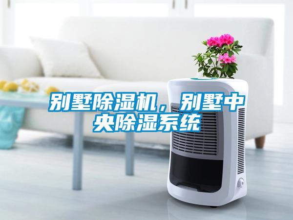 別墅除濕機(jī)，別墅中央除濕系統(tǒng)