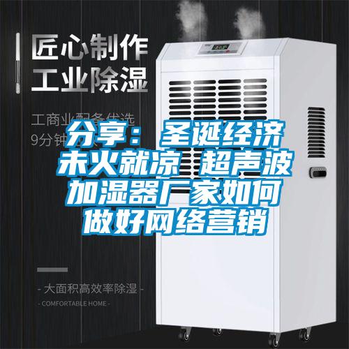 分享：圣誕經(jīng)濟(jì)未火就涼 超聲波加濕器廠家如何做好網(wǎng)絡(luò)營(yíng)銷