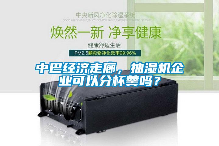 中巴經(jīng)濟(jì)走廊，抽濕機(jī)企業(yè)可以分杯羹嗎？