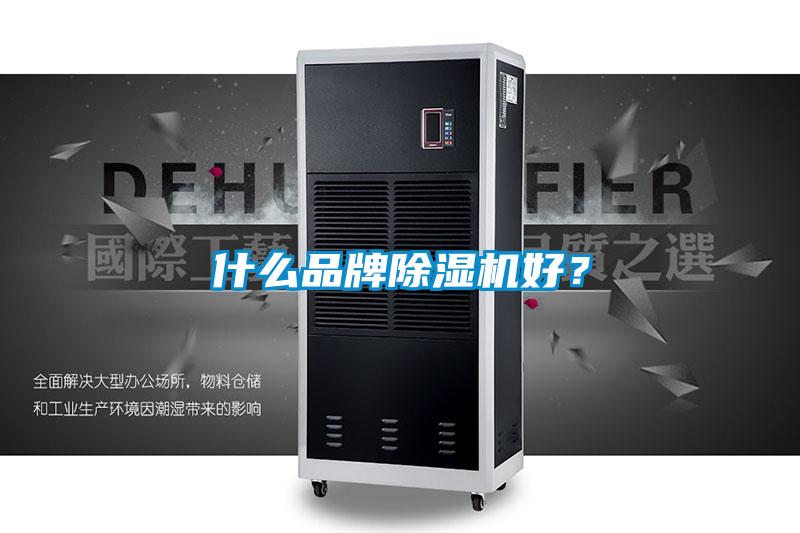 什么品牌除濕機(jī)好？