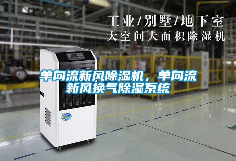單向流新風(fēng)除濕機(jī)，單向流新風(fēng)換氣除濕系統(tǒng)
