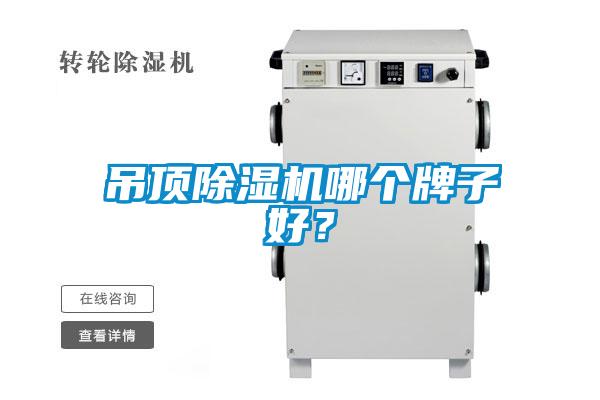 吊頂除濕機(jī)哪個牌子好？