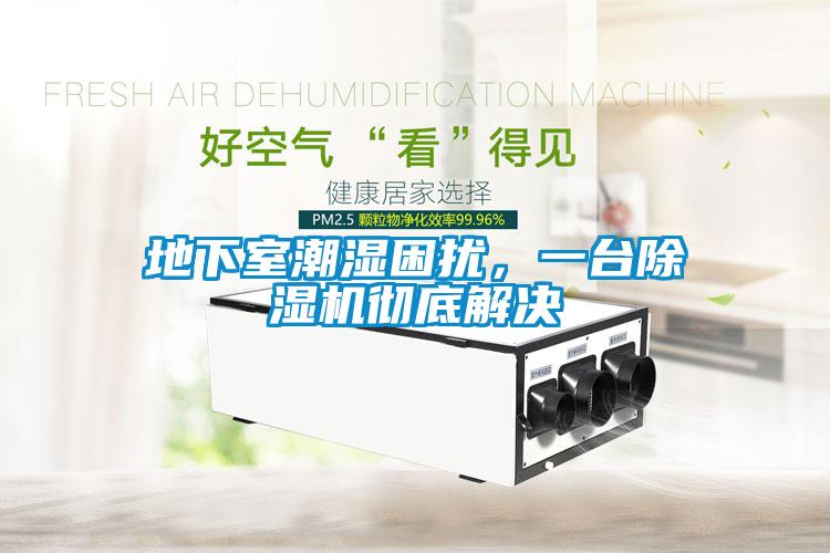 地下室潮濕困擾，一臺除濕機徹底解決