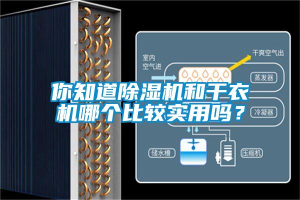你知道除濕機(jī)和干衣機(jī)哪個(gè)比較實(shí)用嗎？