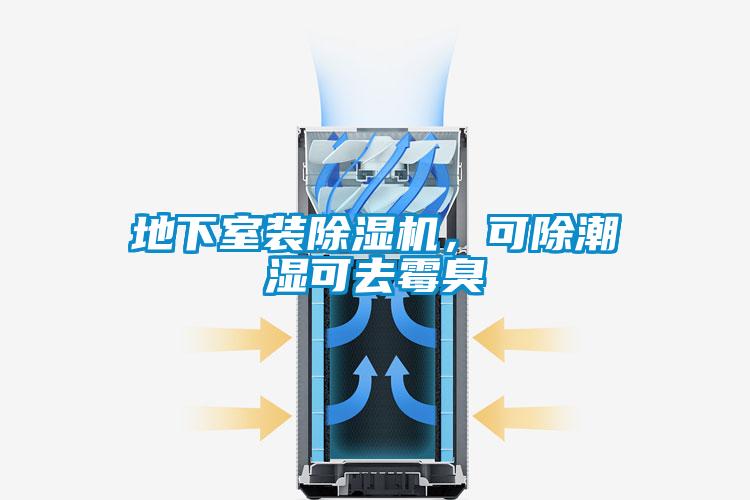 地下室裝除濕機(jī)，可除潮濕可去霉臭