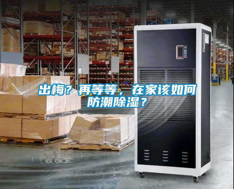 出梅？再等等，在家該如何防潮除濕？