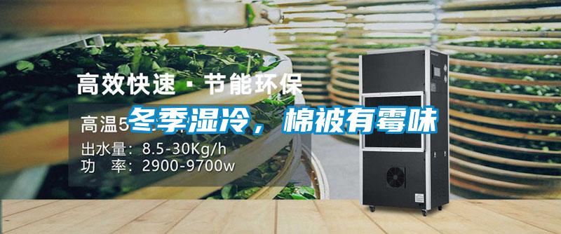 冬季濕冷，棉被有霉味