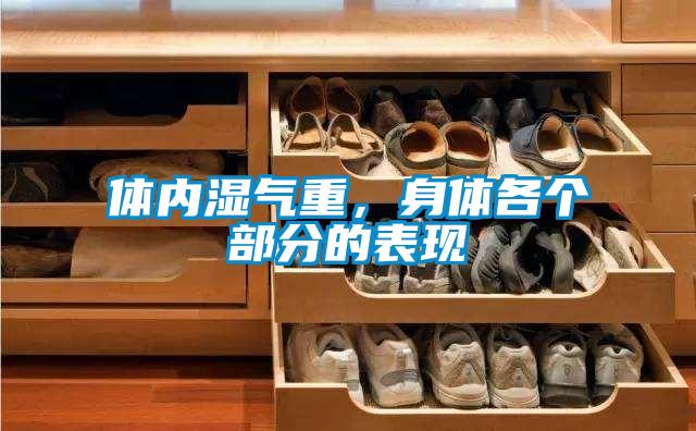 體內(nèi)濕氣重，身體各個(gè)部分的表現(xiàn)