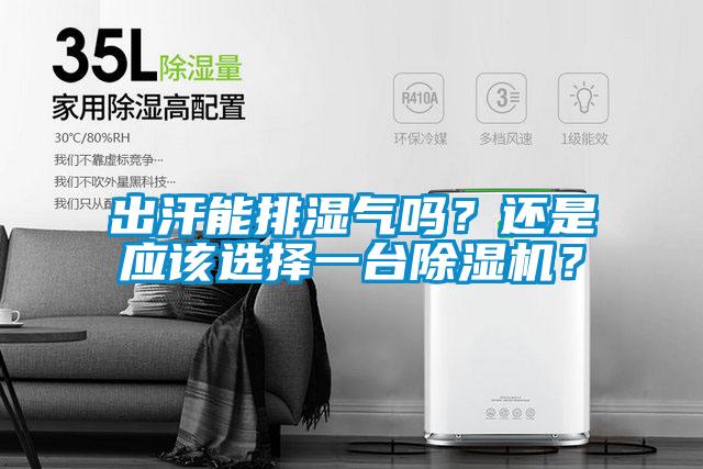 出汗能排濕氣嗎？還是應(yīng)該選擇一臺除濕機(jī)？