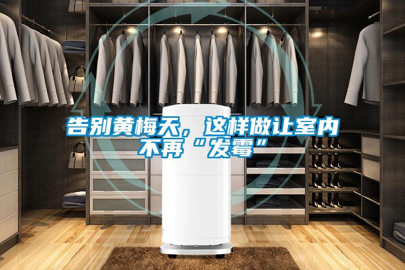 告別黃梅天，這樣做讓室內(nèi)不再“發(fā)霉”
