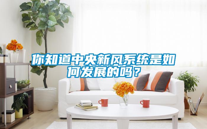 你知道中央新風(fēng)系統(tǒng)是如何發(fā)展的嗎？