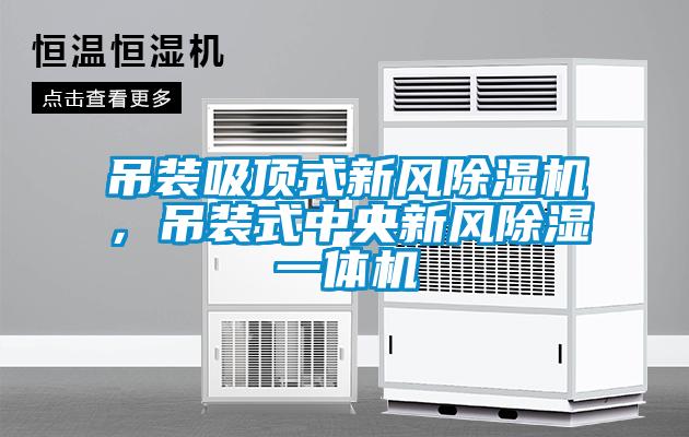 吊裝吸頂式新風(fēng)除濕機(jī)，吊裝式中央新風(fēng)除濕一體機(jī)