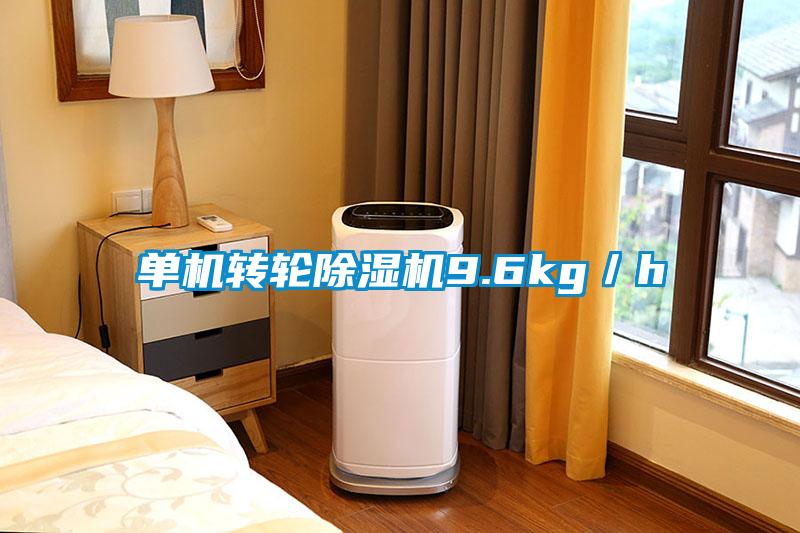 單機轉(zhuǎn)輪除濕機9.6kg／h