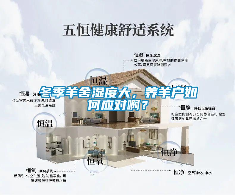 冬季羊舍濕度大，養(yǎng)羊戶如何應(yīng)對(duì)??？
