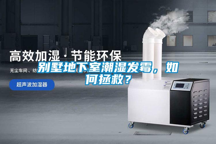 別墅地下室潮濕發(fā)霉，如何拯救？