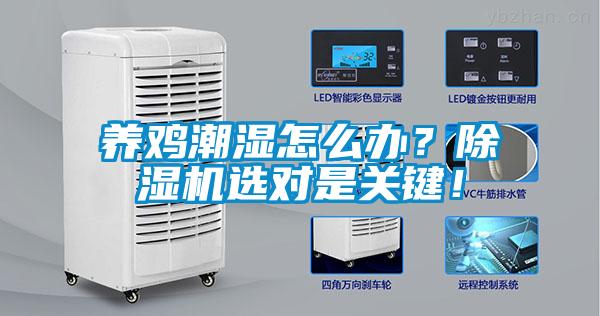 養(yǎng)雞潮濕怎么辦？除濕機(jī)選對(duì)是關(guān)鍵！
