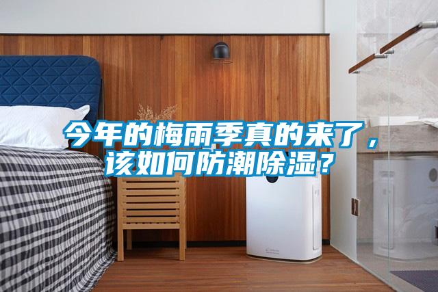 今年的梅雨季真的來了，該如何防潮除濕？