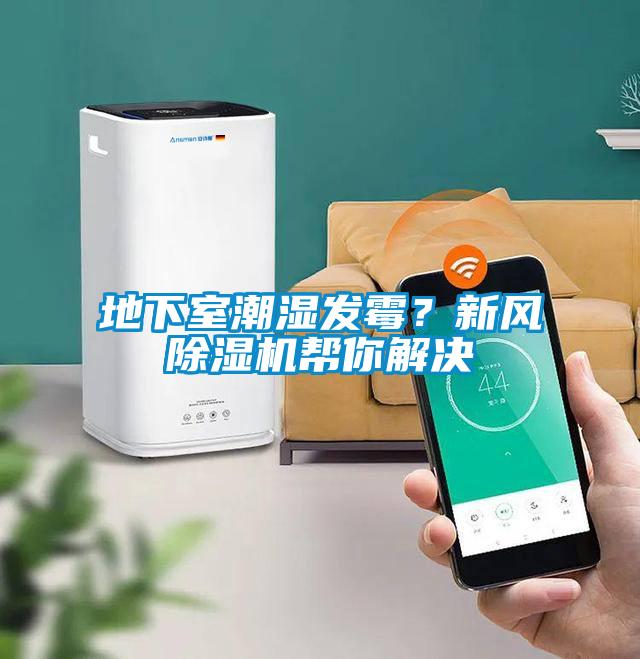 地下室潮濕發(fā)霉？新風除濕機幫你解決