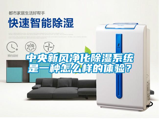 中央新風(fēng)凈化除濕系統(tǒng)是一種怎么樣的體驗(yàn)？