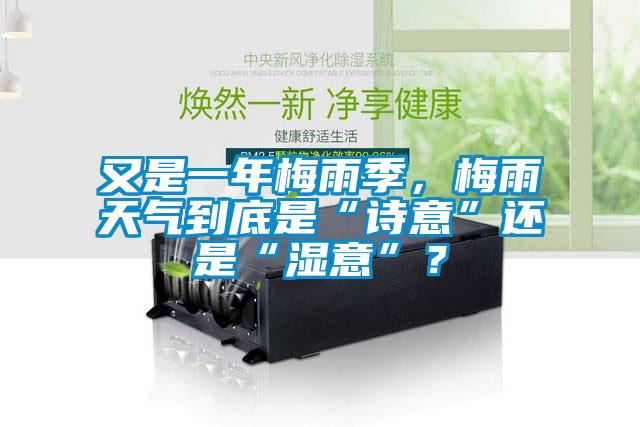 又是一年梅雨季，梅雨天氣到底是“詩意”還是“濕意”？