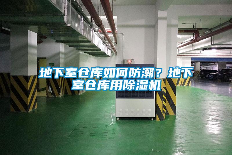地下室倉庫如何防潮？地下室倉庫用除濕機