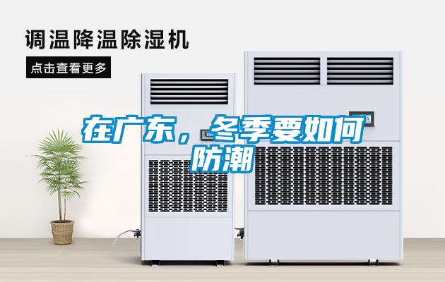 在廣東，冬季要如何防潮