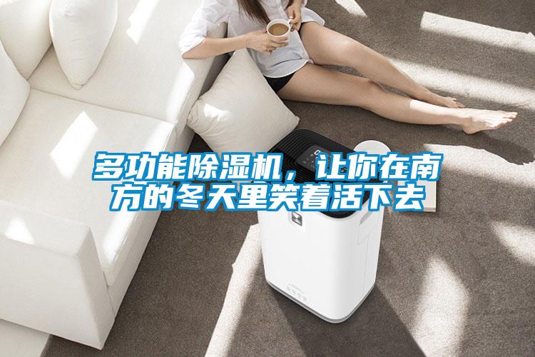 多功能除濕機(jī)，讓你在南方的冬天里笑著活下去