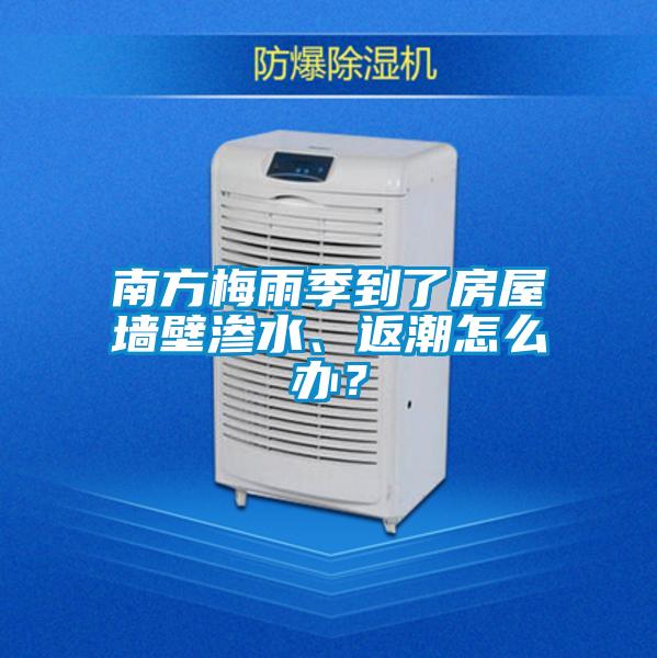 南方梅雨季到了房屋墻壁滲水、返潮怎么辦？