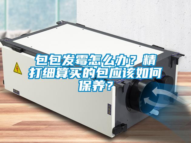 包包發(fā)霉怎么辦？精打細算買的包應該如何保養(yǎng)？