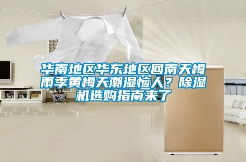 華南地區(qū)華東地區(qū)回南天梅雨季黃梅天潮濕惱人？除濕機(jī)選購指南來了