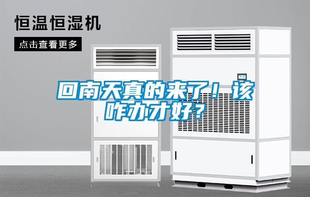 回南天真的來(lái)了！該咋辦才好？