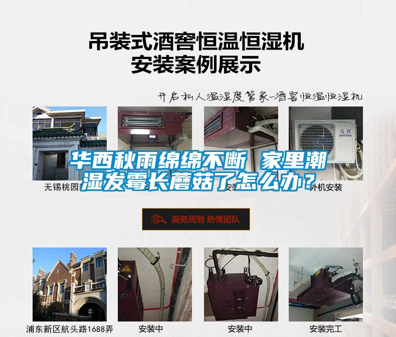 華西秋雨綿綿不斷 家里潮濕發(fā)霉長(zhǎng)蘑菇了怎么辦？