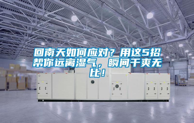 回南天如何應(yīng)對？用這5招幫你遠離濕氣，瞬間干爽無比！