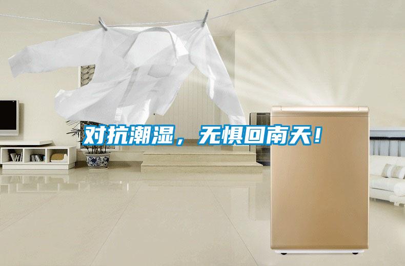 對抗潮濕，無懼回南天！