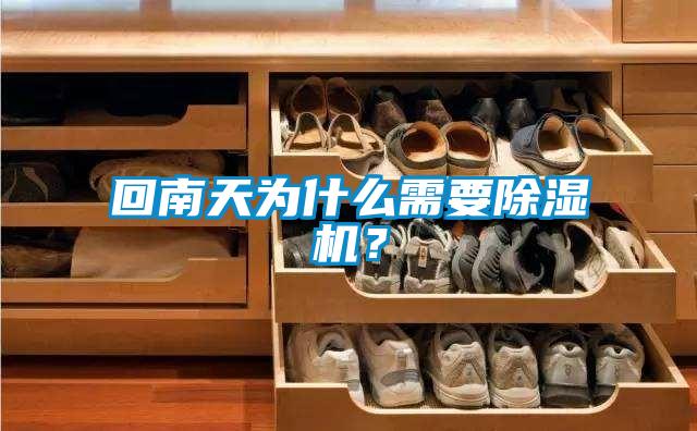 回南天為什么需要除濕機？