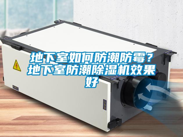 地下室如何防潮防霉？地下室防潮除濕機(jī)效果好