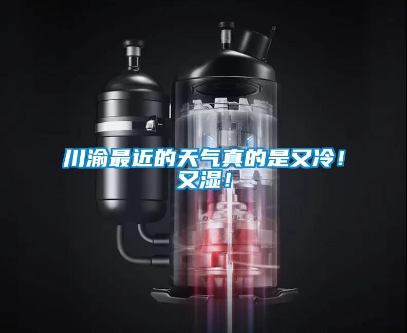 川渝最近的天氣真的是又冷！又濕！