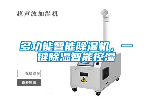 多功能智能除濕機，一鍵除濕智能控濕