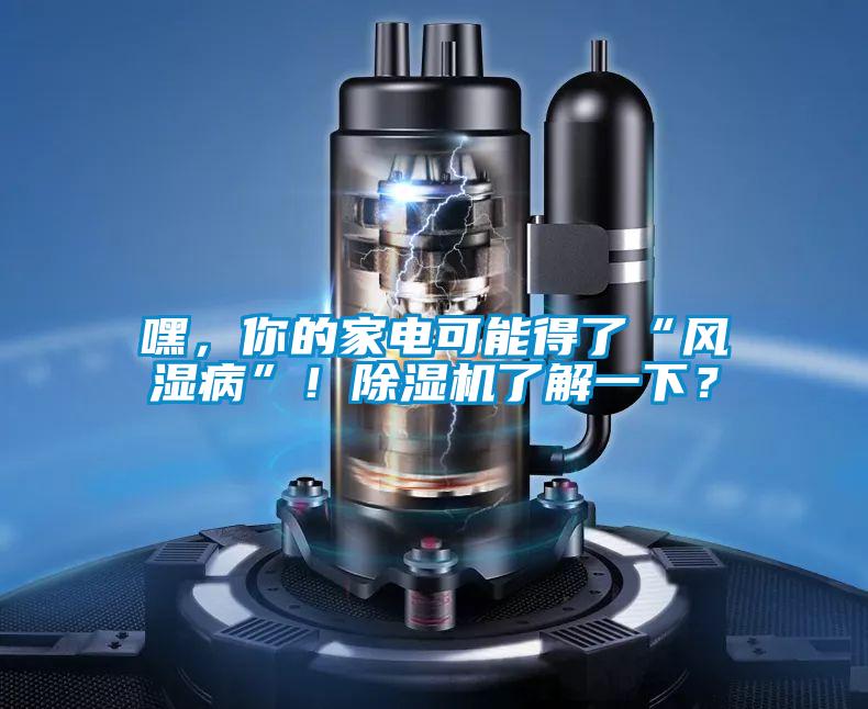 嘿，你的家電可能得了“風(fēng)濕病”！除濕機了解一下？