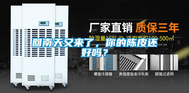 回南天又來了，你的陳皮還好嗎？