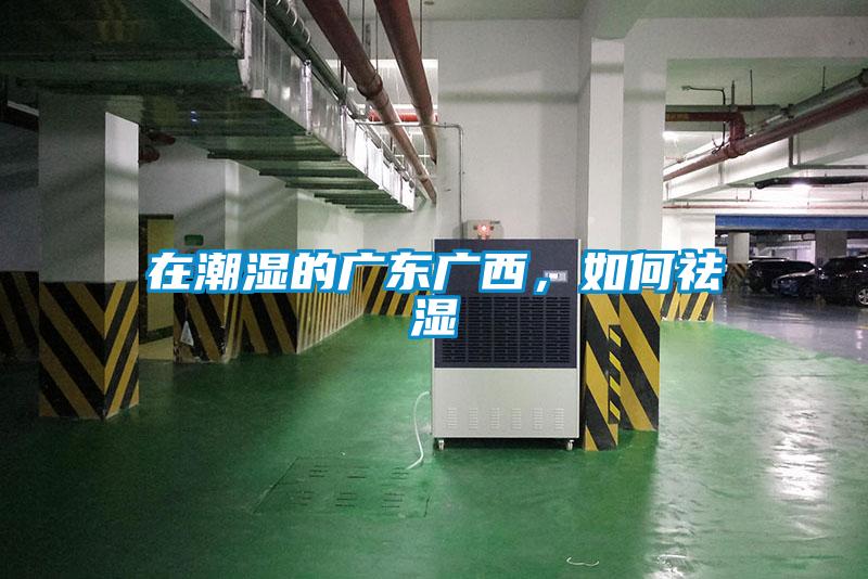 在潮濕的廣東廣西，如何祛濕