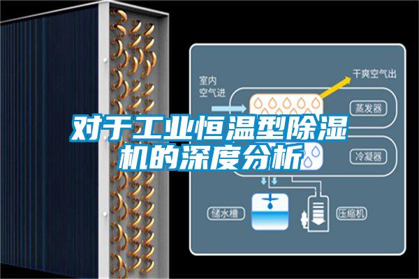 對于工業(yè)恒溫型除濕機(jī)的深度分析