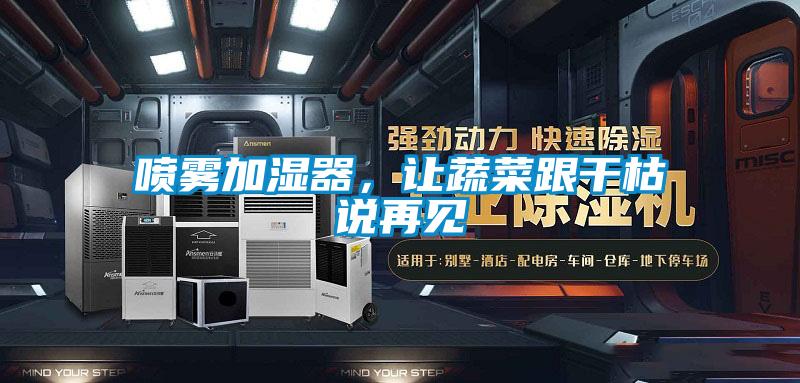 噴霧加濕器，讓蔬菜跟干枯說再見