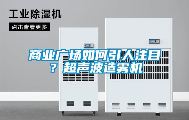 商業(yè)廣場(chǎng)如何引人注目？超聲波造霧機(jī)