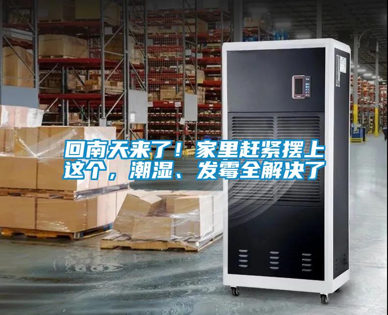 回南天來了！家里趕緊擺上這個，潮濕、發(fā)霉全解決了