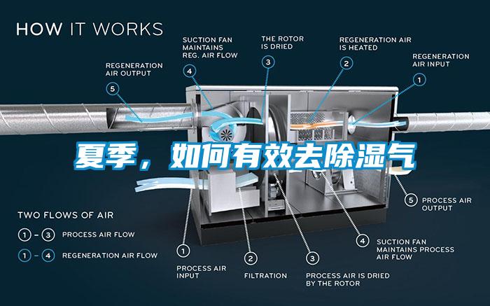 夏季，如何有效去除濕氣