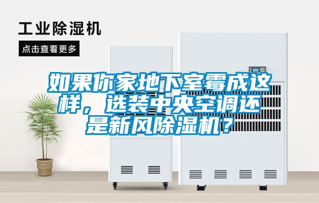 如果你家地下室霉成這樣，選裝中央空調(diào)還是新風(fēng)除濕機(jī)？
