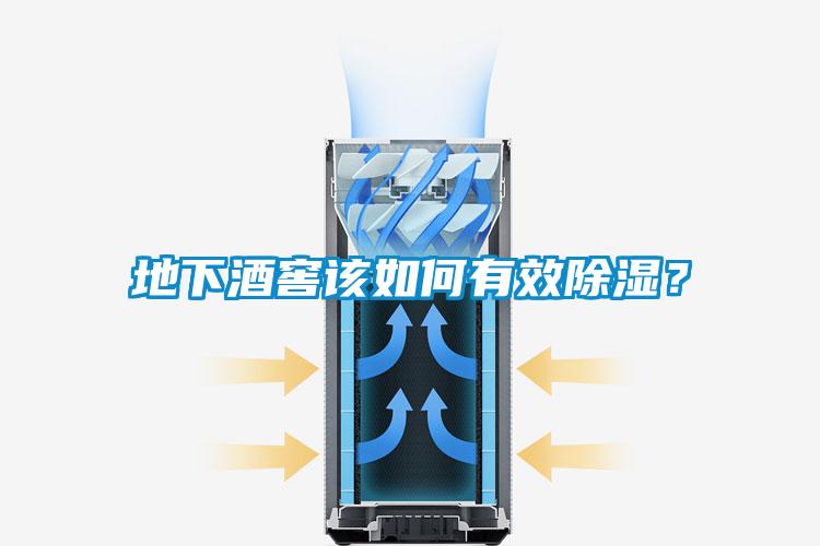 地下酒窖該如何有效除濕？
